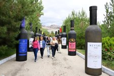В Шамахы стартует Фестиваль винограда и вина (ФОТО)