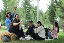 В Шамахы стартует Фестиваль винограда и вина (ФОТО)