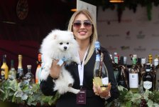 В Шамахы стартует Фестиваль винограда и вина (ФОТО)