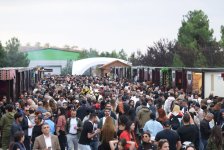 В Шамахы стартует Фестиваль винограда и вина (ФОТО)