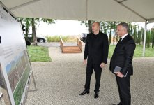 Президент Ильхам Алиев ознакомился с работой, проделанной в тутовом саду в селе Дашбулаг Ходжалинского района (ФОТО)
