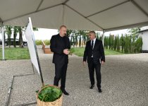 Президент Ильхам Алиев ознакомился с работой, проделанной в тутовом саду в селе Дашбулаг Ходжалинского района (ФОТО)