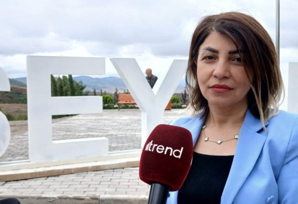 В следующем году в селе Сеидбейли будут готовы к заселению еще 64 дома