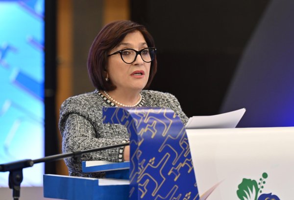 Есть хорошие возможности для расширения азербайджано-хорватских межпарламентских связей - Сахиба Гафарова