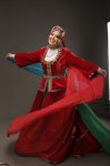 Гюлюстан Алиева представила проект "Век принадлежит Тюрку" на пяти языках (ВИДЕО, ФОТО)