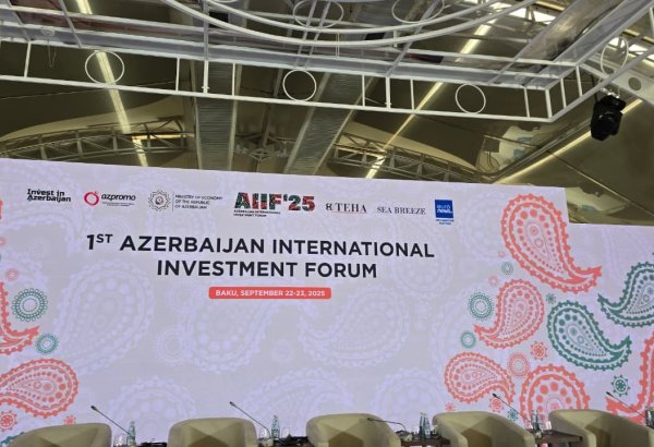 В рамках I Международного инвестиционного форума прошла панельная сессия на тему "Стратегические хабы на фоне глобальных изменений"