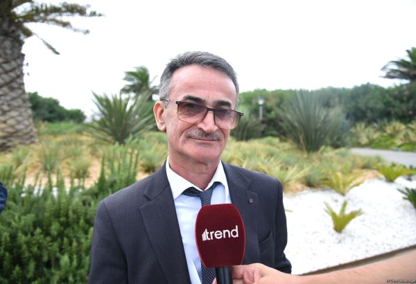 Узбекистан поддержит развитие малого и среднего бизнеса в Азербайджане