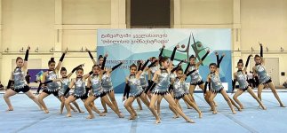 Министр спорта Грузии посетил Госкомитет Азербайджана по работе с диаспорой (ФОТО)
