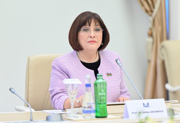 Сотрудничество с Хорватией в разминировании освобожденных территорий имеет особое значение - Сахиба Гафарова