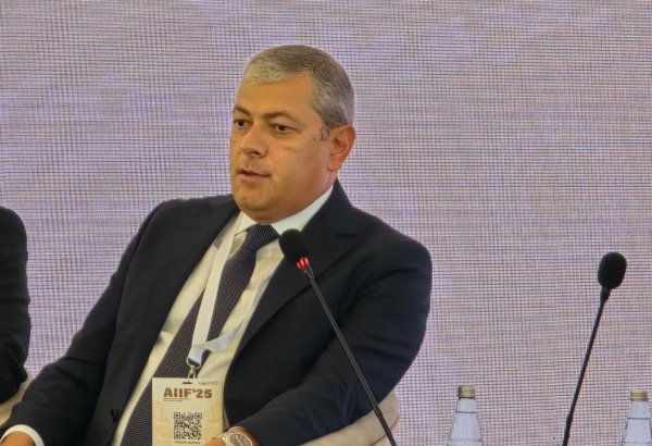 В Шуше выделены территории для строительства оздоровительных и курортных объектов - Айдын Керимов