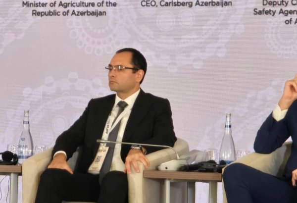 Университет МАТЕ заинтересован в открытии филиала в Азербайджане - министр