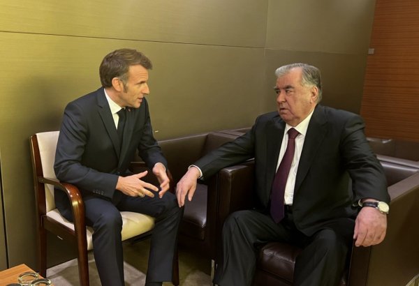 Президенты Таджикистана и Франции обсудили вопросы климатического сотрудничества