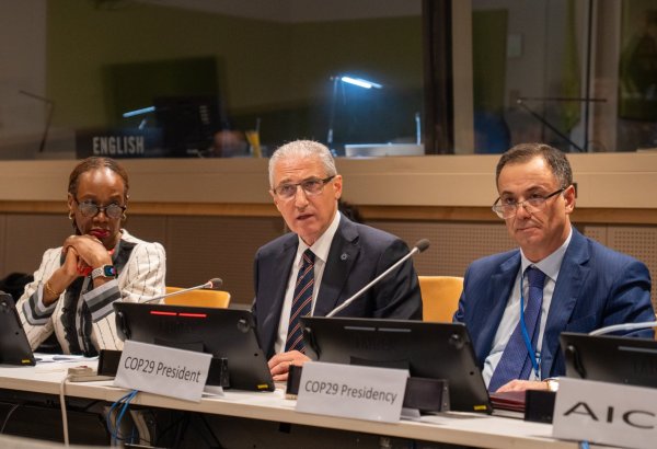 Азербайджан окажет поддержку африканским странам в области климатической дипломатии (ФОТО)