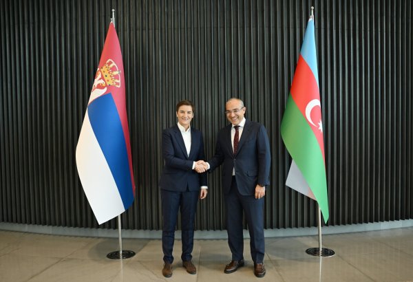 Азербайджан и Сербия обсудили возможности повышения эффективности экономического сотрудничества