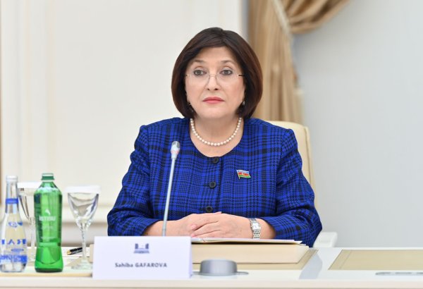 Показатели взаимной торговли между Азербайджаном и Хорватией находятся на высоком уровне - Сахиба Гафарова