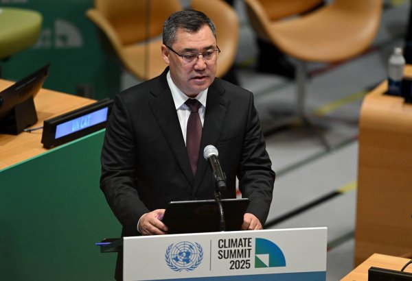 Кыргызстан призвал к совместным усилиям по сохранению горных экосистем