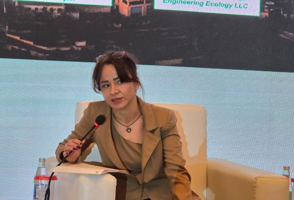 Азербайджан готовится к энергоаудиту в рамках закона об энергоэффективности - представитель IFC