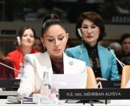 Первая леди Мехрибан Алиева приняла участие в специальной сессии в рамках Генеральной Ассамблеи ООН (ФОТО)