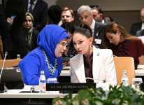 Первая леди Мехрибан Алиева приняла участие в специальной сессии в рамках Генеральной Ассамблеи ООН (ФОТО)