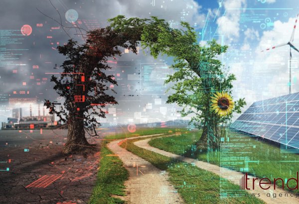 Минэнерго о работе в рамках проекта "Зеленый энергетический коридор ЦА-Азербайджан"