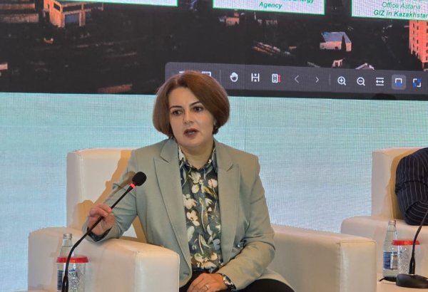 13 компаний подали предложения на тендер по водородной стратегии при поддержке ЕБРР в Азербайджане