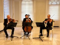 В Гянджинcкой филармонии открылась выставка работ Мехрибан Алышовой "Мелодия красок" (ФОТО)