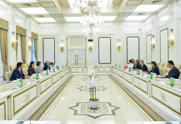 Сахиба Гафарова встретилась с председателем Организации по правам человека и равенству Турции (ФОТО)