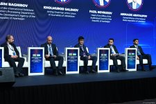 В рамках II Азербайджано-Узбекского медиафорума состоялась панельная дискуссия на тему медиапартнерства и информбезопасности (ФОТО)