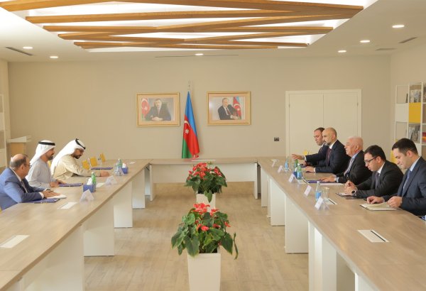 "Азерэнержи" обсудила с Masdar проекты солнечных и ветряных электростанций