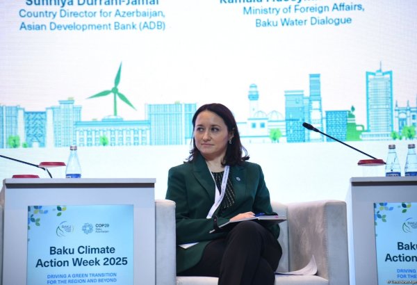 Ряд стран сталкивается с сокращением водных ресурсов - представитель МИД