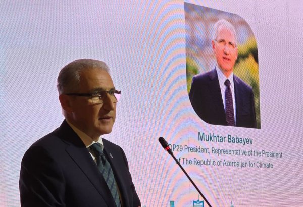 Президент COP29 обнародовал приоритеты климатической повестки Азербайджана