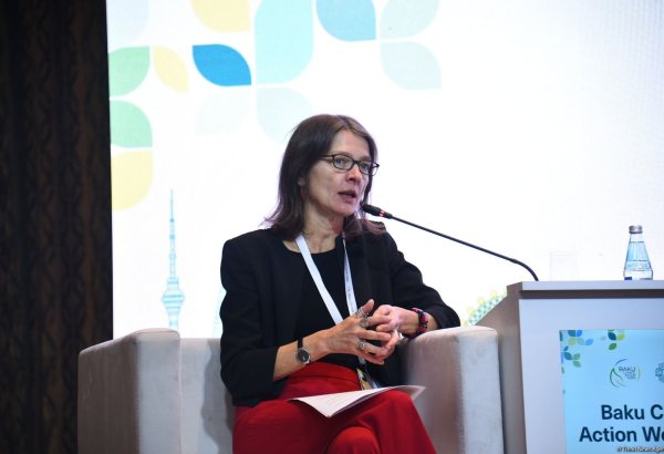 Необходимо усилить региональное сотрудничество в управлении водными ресурсами - представитель ВБ в Азербайджане