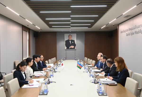 Проведены политические консультации между Азербайджаном и Японией (ФОТО)