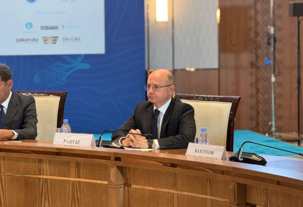 Азербайджан и APRECA укрепляют региональное сотрудничество в "зеленой" энергетике (ФОТО)