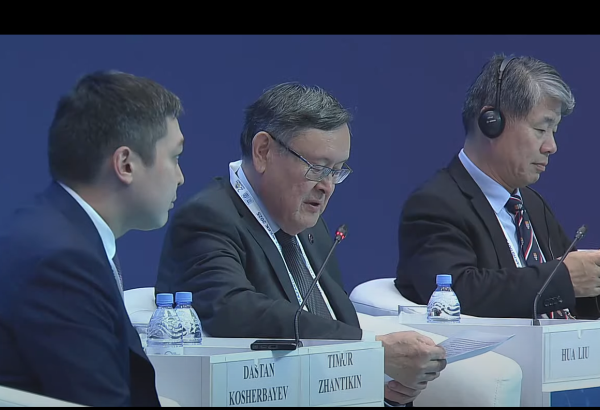 Казахстан рассматривает атомную энергетику как стратегический элемент своего будущего