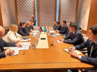Министр энергетики Азербайджана провел встречи с казахстанскими коллегами и руководством IRENA (ФОТО)