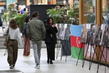 Впервые в Европе по линии НПО проводится серия выставок, посвященных минной проблеме Азербайджана