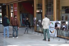 Впервые в Европе по линии НПО проводится серия выставок, посвященных минной проблеме Азербайджана
