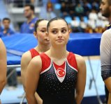 Азербайджанские гимнасты завоевали шесть медалей на Играх стран СНГ в Шеки (ФОТО)