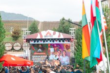 В Шамахы завершился Международный фестиваль барбекю (ФОТО)