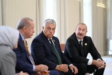 Президент Ильхам Алиев встретил в Габале глав государств и правительств, участвующих в 12-м Саммите Совета глав государств Организации тюркских государств (ФОТО)