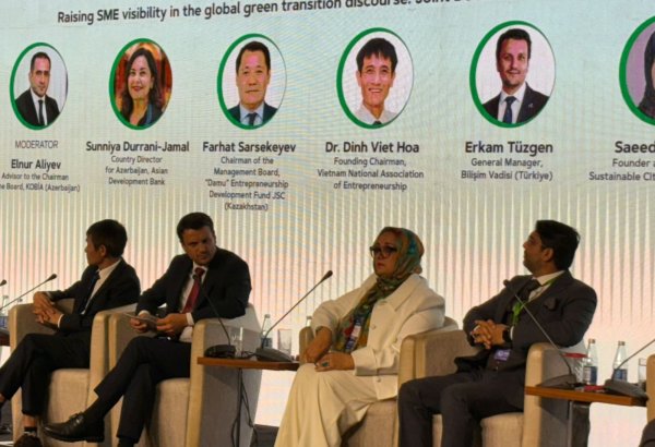 Турецкая компания расширяет сотрудничество с Азербайджаном в области "зеленого" перехода