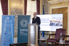 Вице-президент Фонда Гейдара Алиева Лейла Алиева приняла участие в климатическом диалоге высокого уровня в Лондоне (ФОТО)