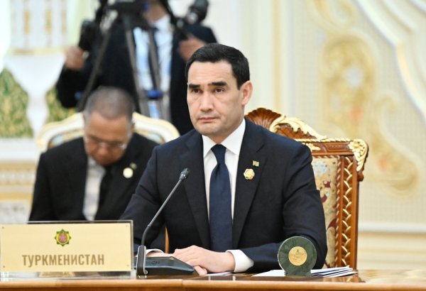 Туркменистан видит перспективы совместного использования возобновляемой энергии с Россией
