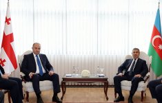 Закир Гасанов встретился с грузинским коллегой (ФОТО)