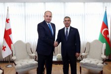 Закир Гасанов встретился с грузинским коллегой (ФОТО)