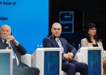В Баку состоялась международная конференция по проблеме пропавших без вести лиц (ФОТО) (ОБНОВЛЕНО)