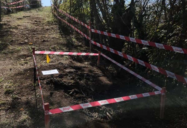 Участники международной конференции посетили массовое захоронение в Агдере (ФОТО)