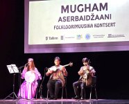 Эстония погрузилась в мир азербайджанской музыки (ФОТО)