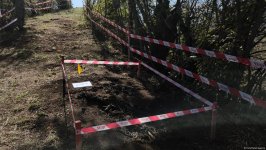 Участники международной конференции посетили массовое захоронение в Агдере (ФОТО)